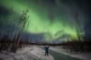 Northern Lights in Cook County. Photo by Travis Novitsky